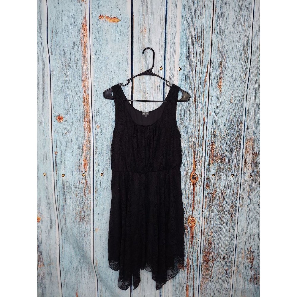 Lily Rose Dress sz L